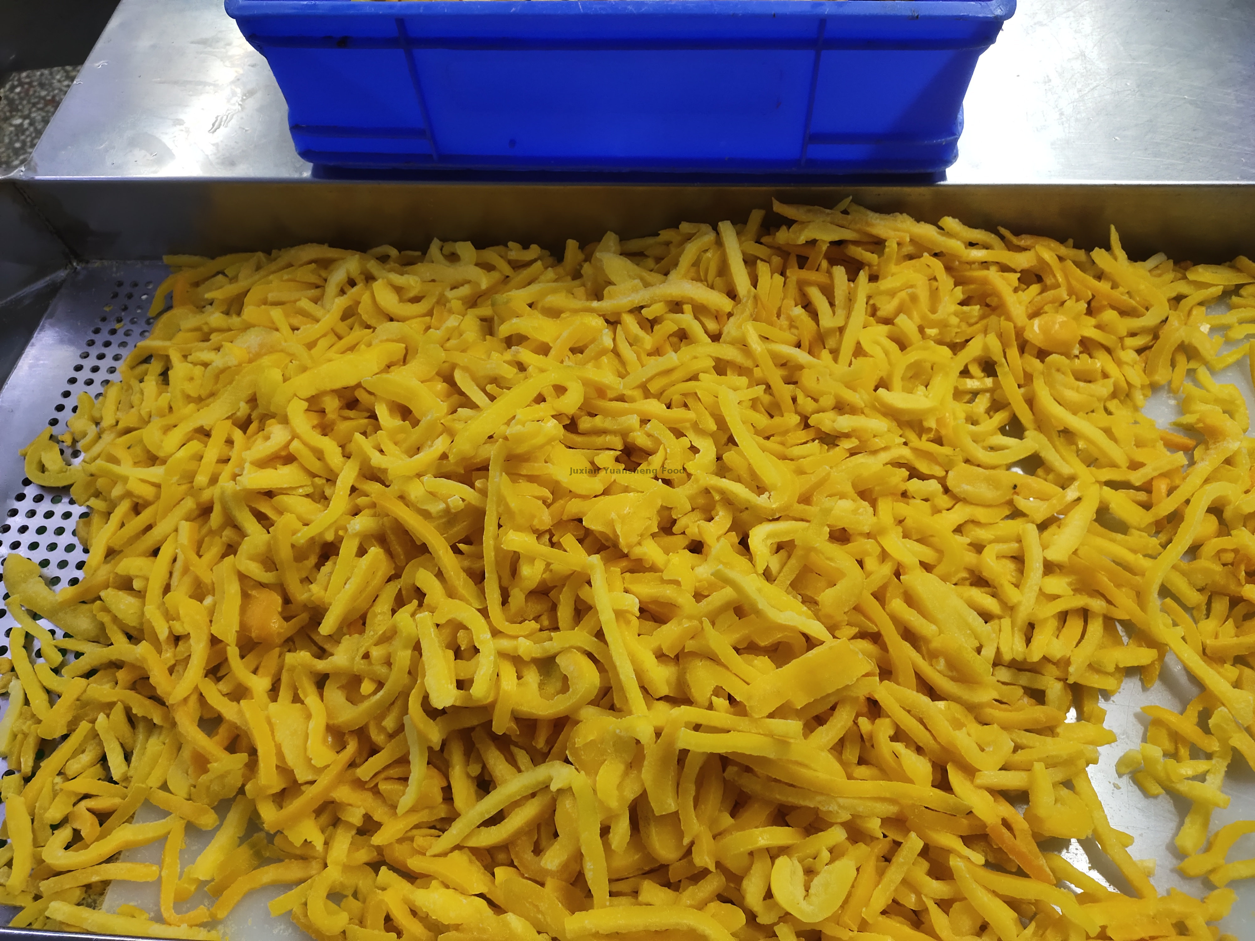 bell pepper (11) pimentão (11)