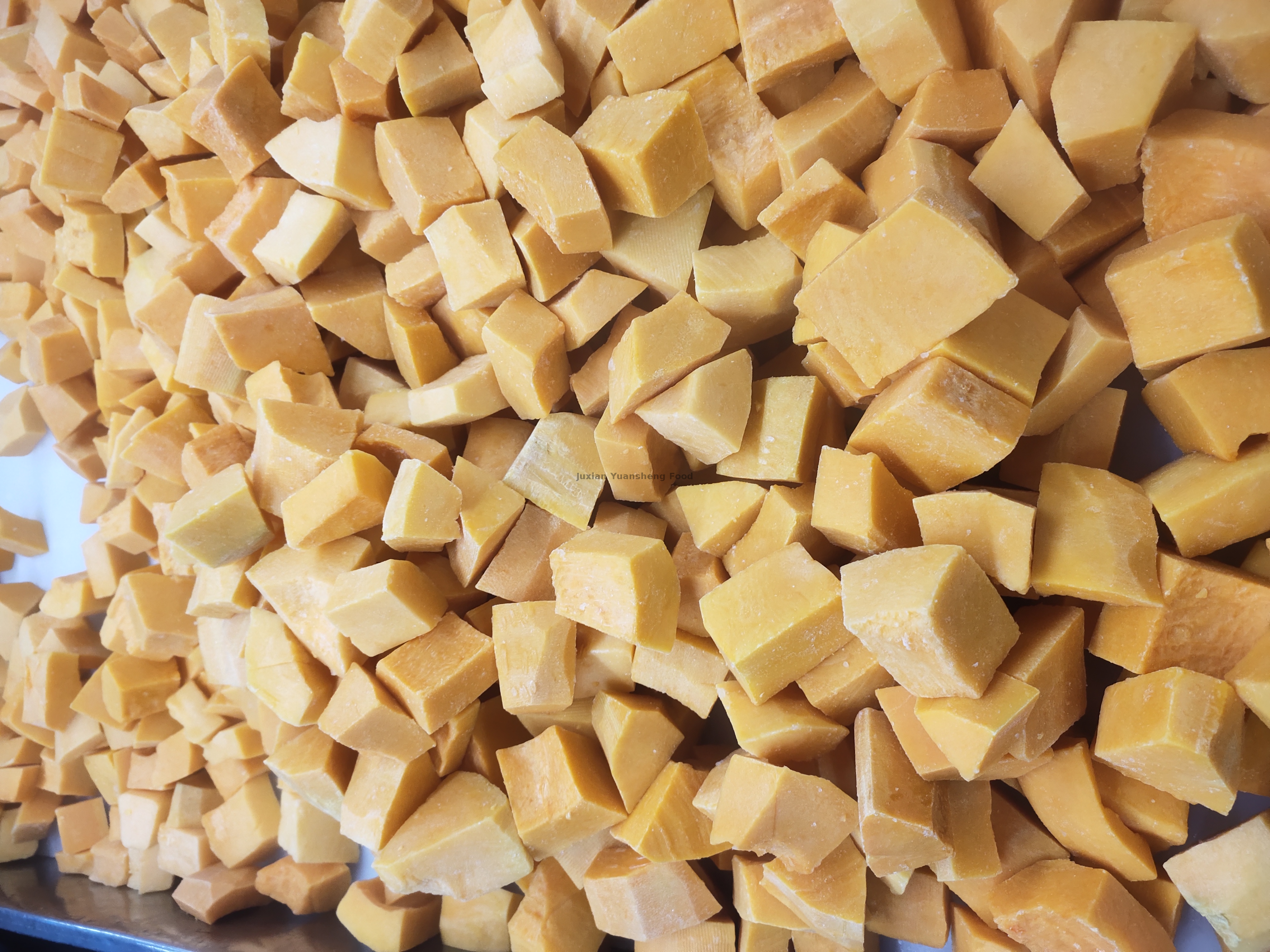 ab&oacute;bora 2 (4)