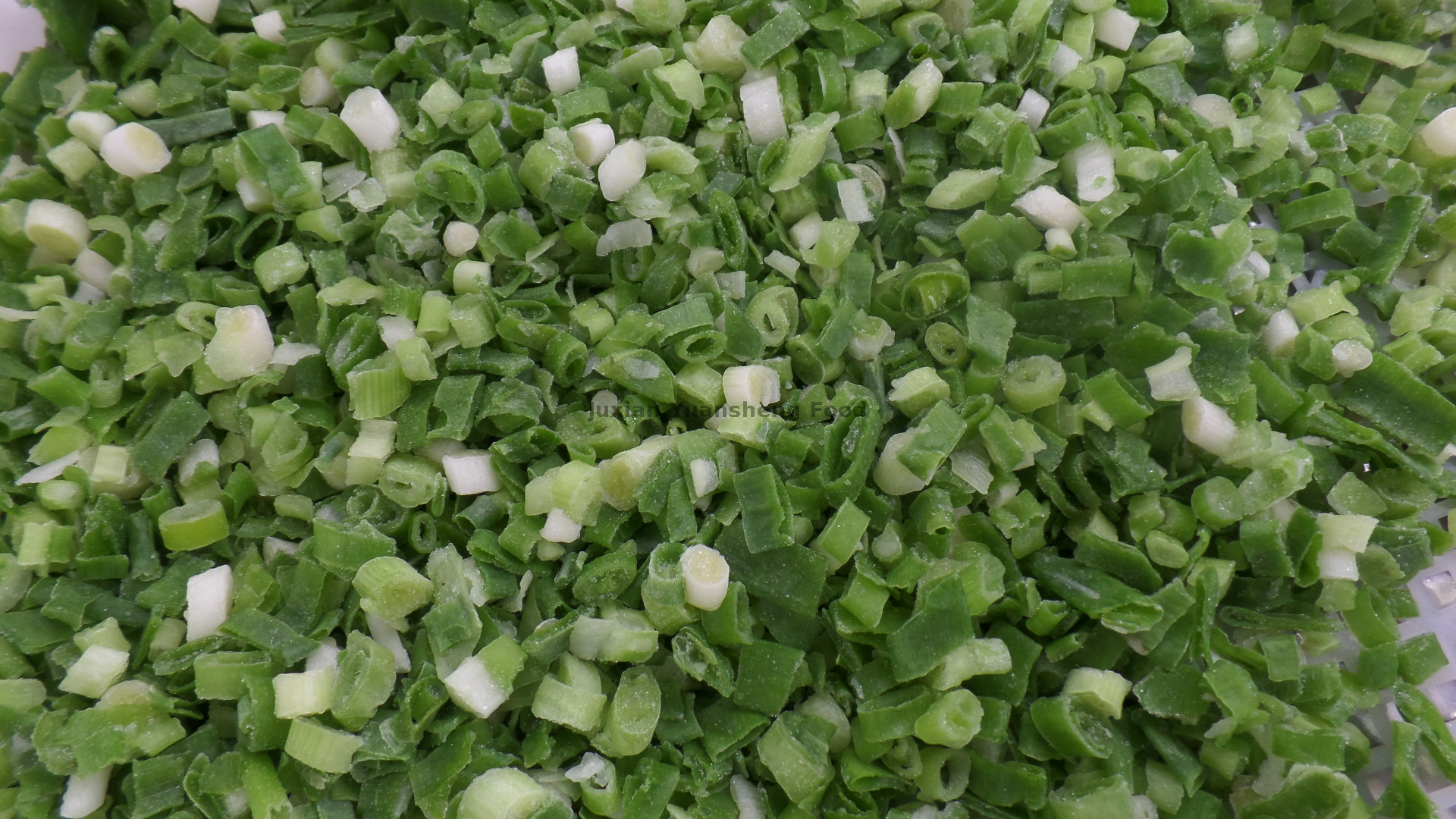 Cubos 100% naturais de cebolinha congelada por atacado da China