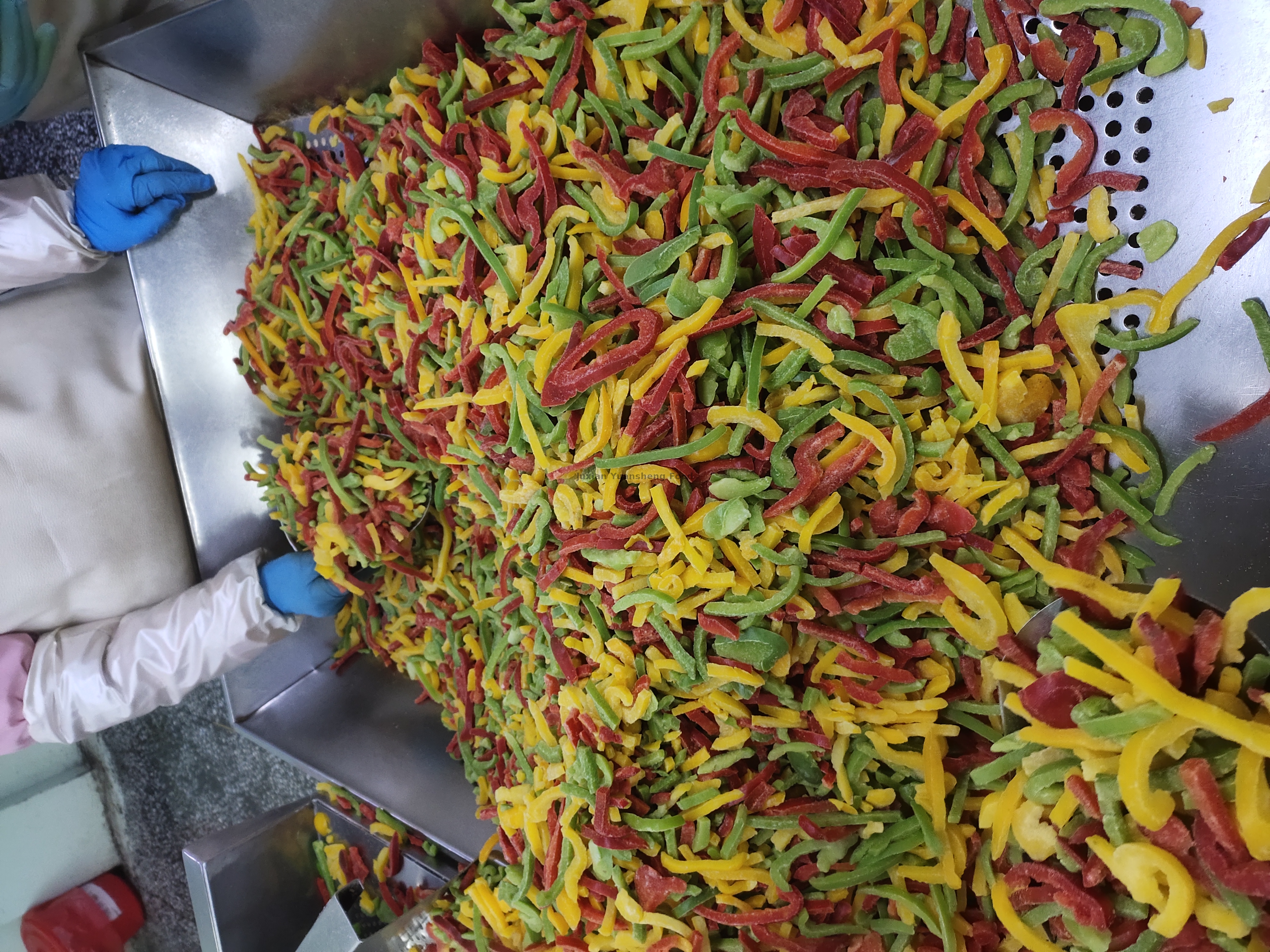 piment&atilde;o (18)