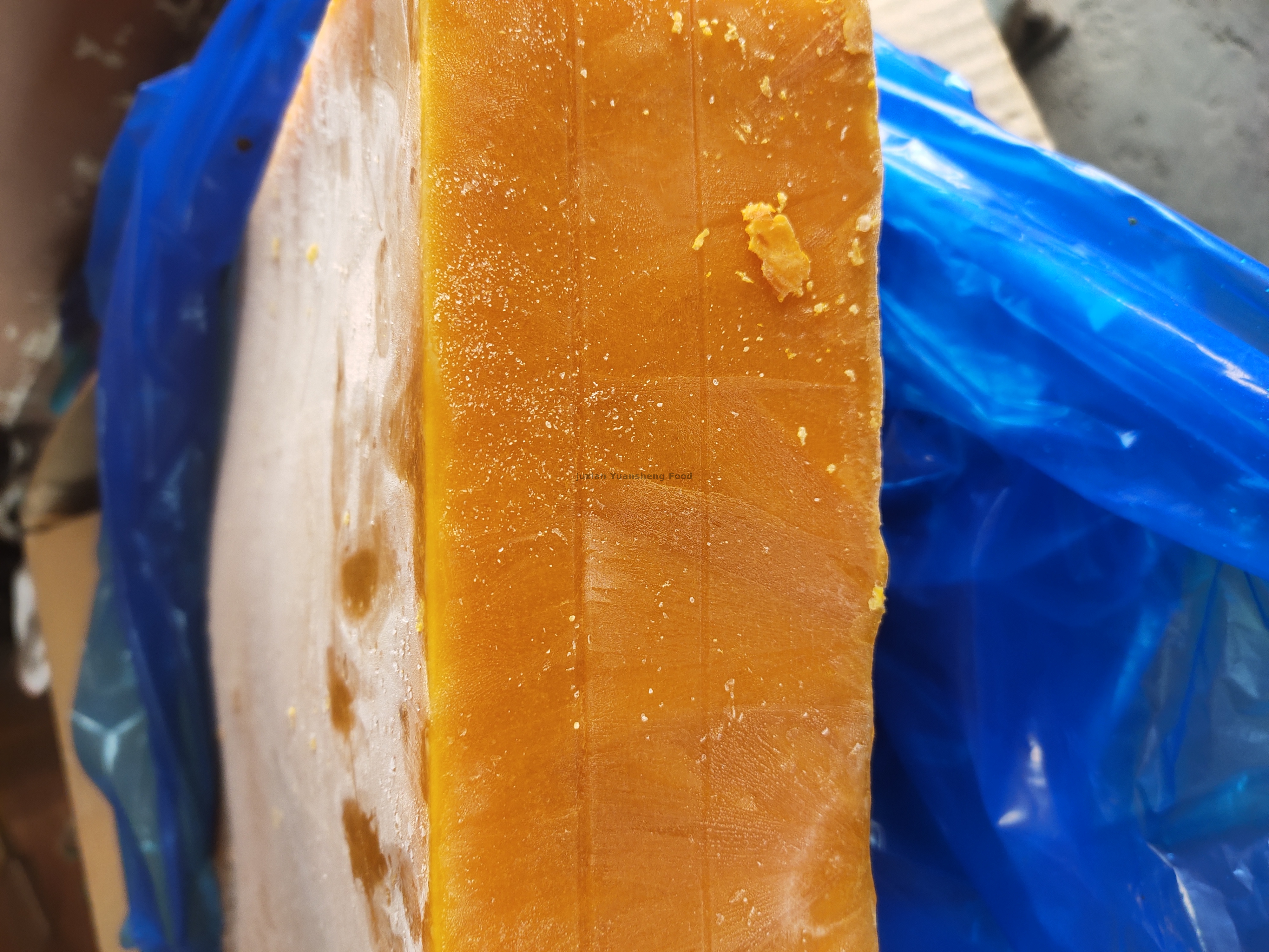 ab&oacute;bora 2 (8)