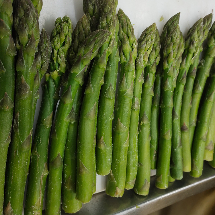 Atacado Espargos Verdes Congelados de Alta Qualidade