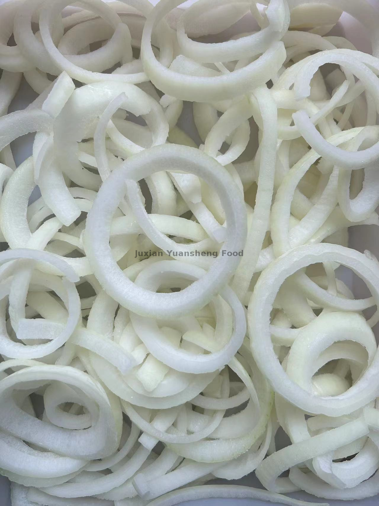 tira de cebola (16)