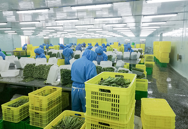 4_0000_粗加工-Produ&ccedil;&atilde;o Bruta