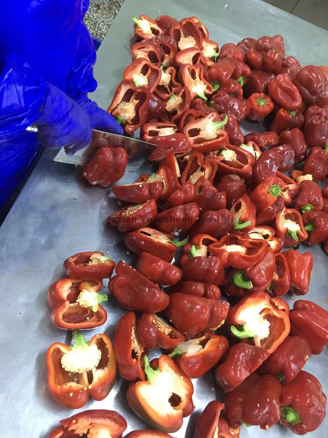 Dados de piment&atilde;o vermelho congelado a granel 