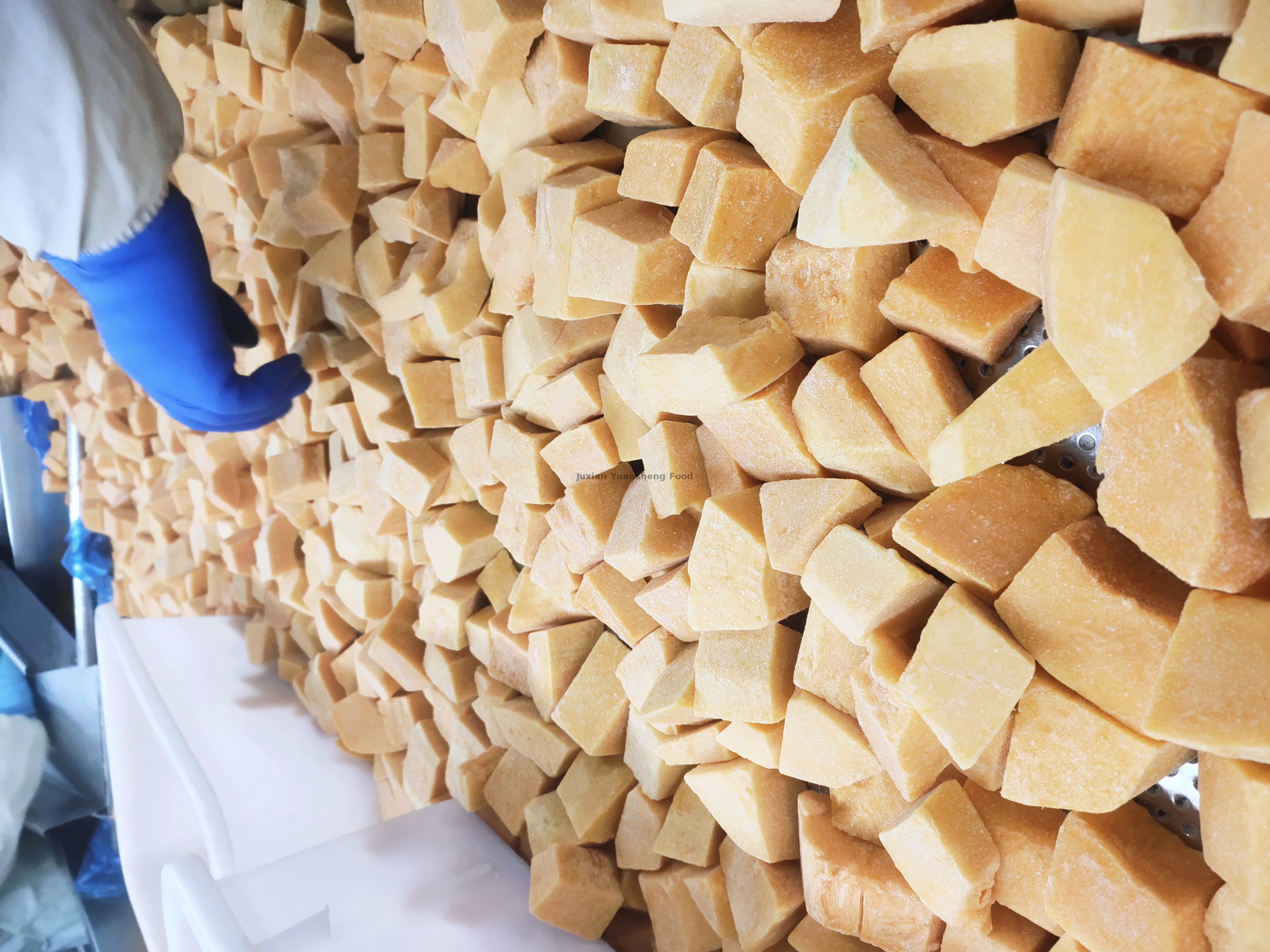 ab&oacute;bora 2 (3) - 副本