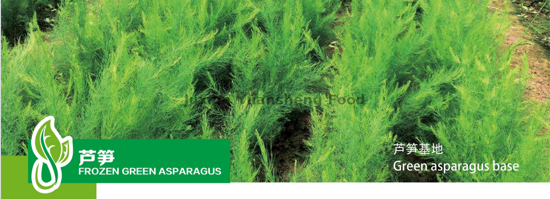 base de espargos