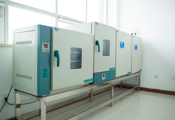 4_0005_细菌培养-cultura bacteriana